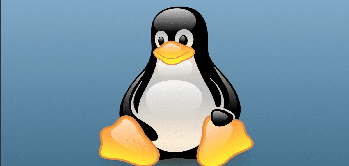 En Linux 5.20/6.0 propone un mecanismo para verificar la corrección del kernel | Linux Adictos