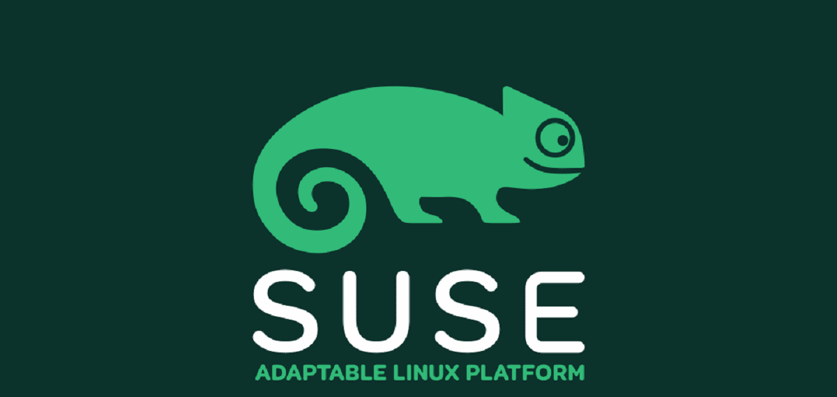 SUSE ha publicado el primer prototipo de ALP | Linux Adictos