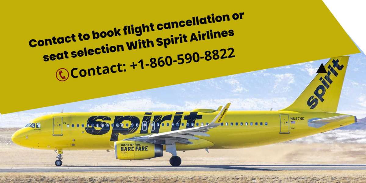 How to change a Spirit Airlines flight?