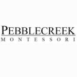 Pebblecreek School